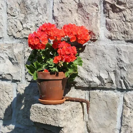 Rosemary וילה